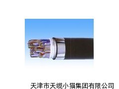 鐵路信號(hào)電纜PTY23_供應(yīng)產(chǎn)品_天津市天纜小貓集團(tuán)