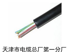 鐵路信號(hào)電纜線(xiàn)PTYY_供應(yīng)產(chǎn)品_天津市電纜總廠(chǎng)第一分廠(chǎng)